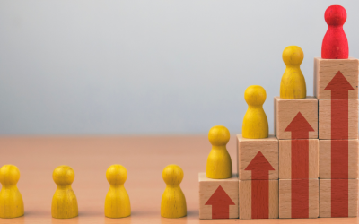 Organization Development Framework: A Complete Guide