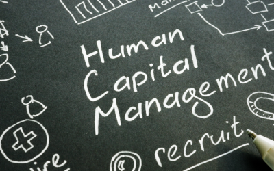 Human Capital Management Consulting: A Complete Guide