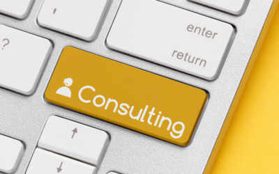 HR Professional Consulting: A Guide for Growing SMBs