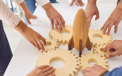 Organizational Development Strategist: Do You Need One?