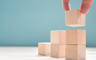Organizational Development Processes: A Guide for SMBs