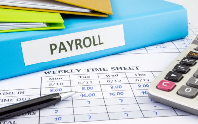 ASO Payroll Meaning Explained: Definition & How It Works