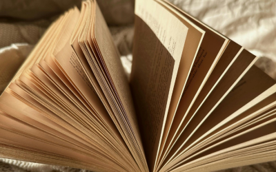HR Playbook Development: A Step-by-Step Guide for Employers
